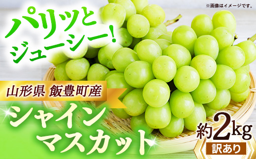 【訳あり】 山形県産 シャインマスカット 約2kg  (不揃房・小粒房・傷房・黄色房等) - マスカット 2026 山形 2026年発送 果物 フルーツ 山形県 飯豊町 田園サービスいいで