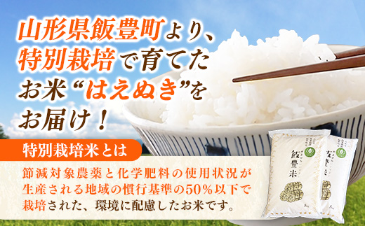 【R7年産米】はえぬき 白米 10㎏(5㎏×2) - 白米 米 ごはん 品種 銘柄 ブランド米 おすすめ 送料無料 山形県 飯豊町