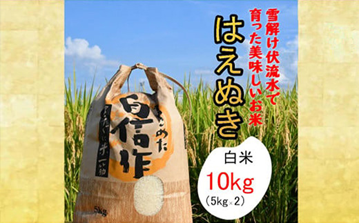 人気のブランド米　はえぬき　白米 10kg（飯豊町産）(R7年産）【価格改定】