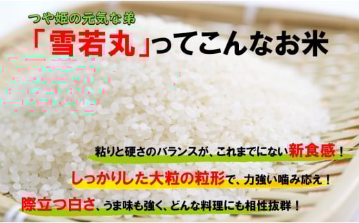 çç£è
ã®é¡ãèŠããç±³ãéªè¥äžžãçœç±³ã10kgïŒé£¯è±çºç£ïŒ(R7幎ç£ïŒãäŸ¡æ Œæ¹å®ã