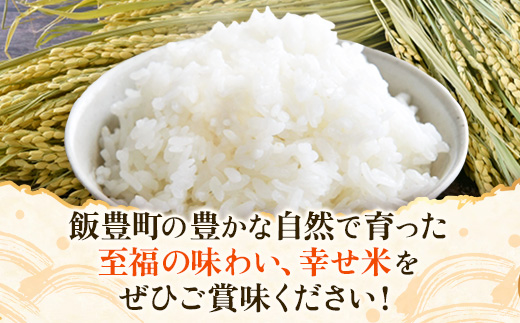 【R8年産新米予約】至福の味わい、幸せ米 つや姫10kg - 白米 米 ごはん 品種 銘柄 ブランド米 おすすめ 送料無料 山形県 飯豊町産