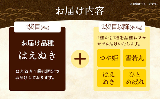令和7年産 飯豊の幸 山形県ブランド米 銘柄お任せセット 『はえぬき』『雪若丸』『つや姫』『ひとめぼれ』精米 10kg （5kg×2袋）
