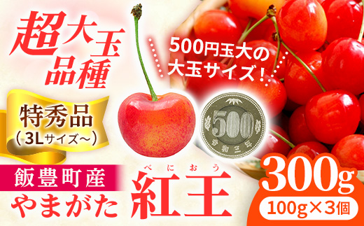 さくらんぼ 紅王 特秀品 300g（バラ詰め） 山形県飯豊町産 - さくらんぼ 紅王 2026 山形 2026年発送 サクランボ フルーツ 山形県 飯豊町 田園サービスいいで ※北海道・中国・四国・九州・沖縄　配送不可