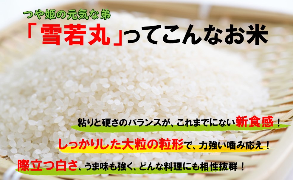 きれいな水から出来た米　つや姫・雪若丸食べ比べセット（令和6年産） 