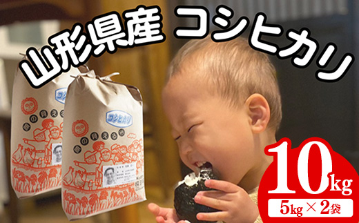 生産者の顔が見える米　コシヒカリ　白米　10kg（飯豊町産）(R7年産）【価格改定】