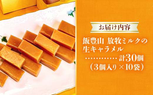 飯豊山放牧ミルクの生キャラメル - 生キャラメル キャラメル お菓子 スイーツ おやつ 30本入り 芳醇 ご褒美 くちどけ お取り寄せ 冷凍 おすすめ 送料無料 山形県 飯豊町