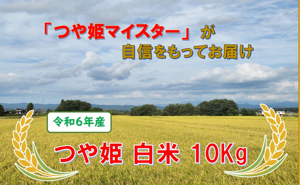 きれいな水から出来た米　つや姫　白米10kg（令和6年産） 