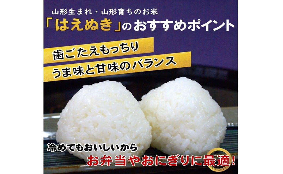 人気のブランド米　はえぬき　玄米10kg（令和5年山形県飯豊町産）