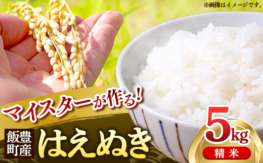 マイスターがつくる はえぬき 白米 5kg (R7年産） - 山形県 飯豊町産 米 精米 品種 銘柄 ブランド米 ご飯 白米 おすすめ 送料無料 林七【価格改定】