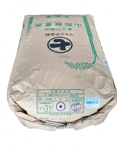 特別栽培米　つや姫　玄米20kg（令和6年山形県飯豊町産） 