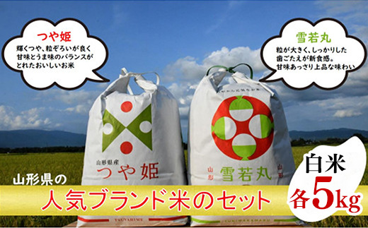 人気のブランド米　つや姫、雪若丸　白米セット（つや姫、雪若丸 各5kg）（飯豊町産）(R7年産）【価格改定】