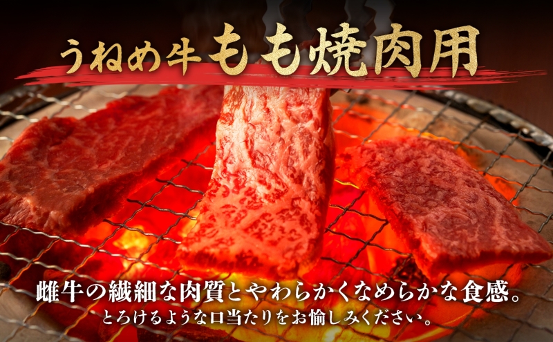 A5等級 うねめ牛 もも 焼肉用 680g たれ付 黒毛和牛 牛肉 お肉 雌牛 和牛 国産 モモ 赤身 料理 焼き肉 焼肉 BBQ バーべキュー A5 高級 お取り寄せ 人気 希少 高評価 贈答 プレゼント ギフト 冷凍 さくらやフーズ 福島県 郡山市