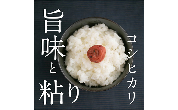 令和5年産】 あさか舞コシヒカリ（精米）10kg|JALふるさと納税|JALの