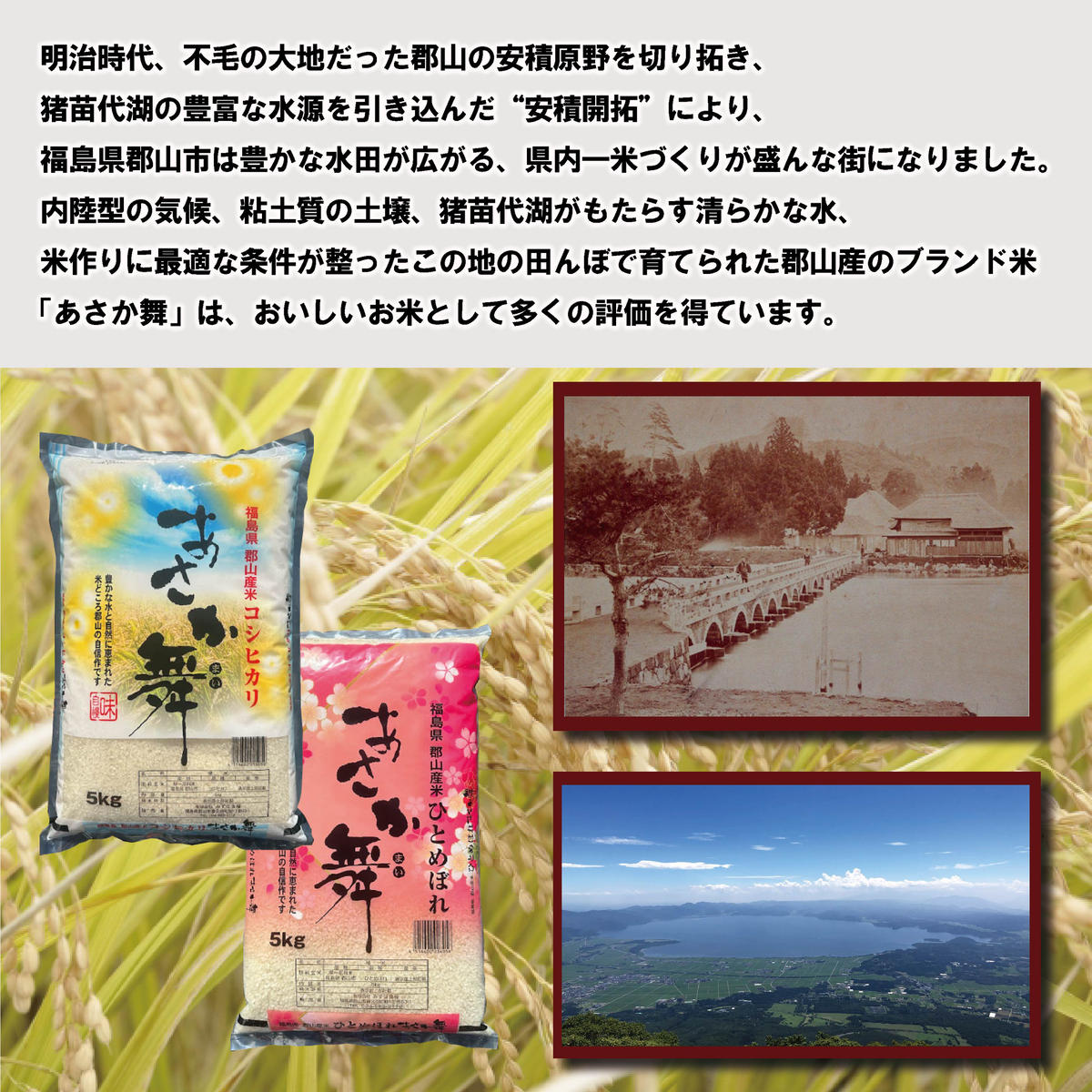 令和6年産 福島県郡山産あさか舞ひとめぼれ 10kg（5kg×2）