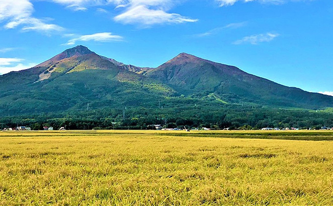 令和6年産 福島県産 あさか舞コシヒカリ 無洗米10kg（5kg×2袋）【3ヶ月定期便】