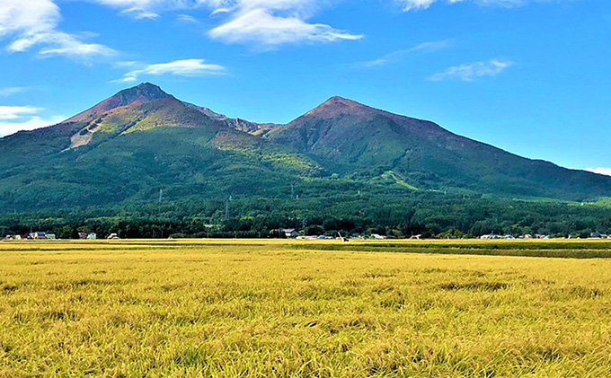 令和6年産 福島県産 あさか舞コシヒカリ 精米10kg（5kg×2袋）【3ヶ月定期便】