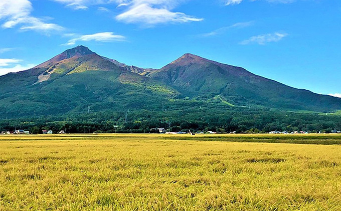 令和6年産 福島県産 あさか舞コシヒカリ 無洗米 5kg