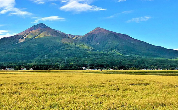 令和6年産 福島県産 あさか舞コシヒカリ 無洗米10kg（5kg×2袋）