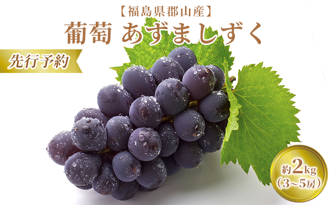 【先行予約】【福島県郡山産】葡萄 あずましずく 約2kg（3～5房）