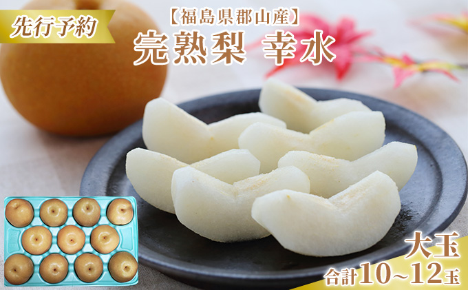 【先行予約】【福島県郡山産】完熟梨 幸水 大玉（10～12玉） 果物 フルーツ 食後 デザート おやつ 程よい酸味 強い甘み 朝摘み