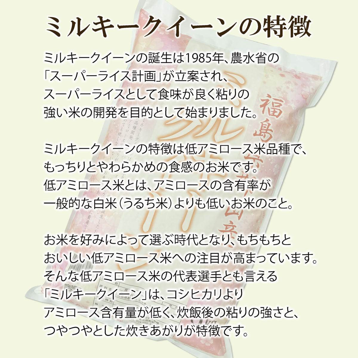 令和6年産 福島県郡山産ミルキークイーン 10kg