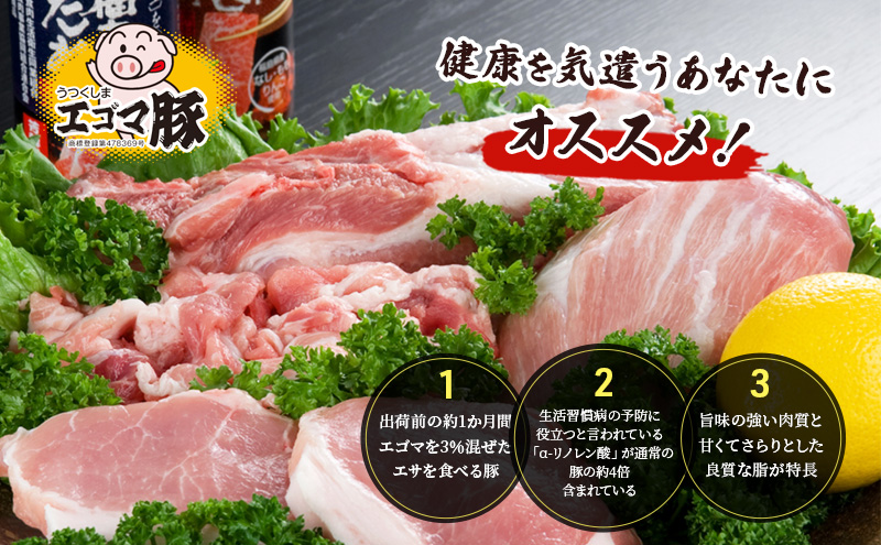 福島県産和牛メンチカツ5個、大沼亭エゴマ豚メンチカツ5個、2種セット