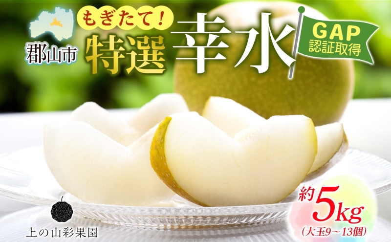 特選 幸水 約5kg 大玉 9～13個 なし 梨 ナシ もぎたて 甘い 旬 果物 GAP 認証 産地直送 贈り物 贈答用 送料無料 上の山 彩果園 うえのやま さいかえん  福島県 郡山市