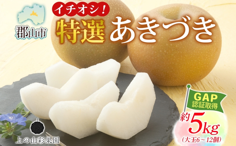特選 あきづき 約5kg 大玉 6～12個 なし 梨 ナシ もぎたて 甘い 旬 果物 GAP 認証 産地直送 贈り物 贈答用 送料無料 上の山 彩果園 うえのやま さいかえん  福島県 郡山市