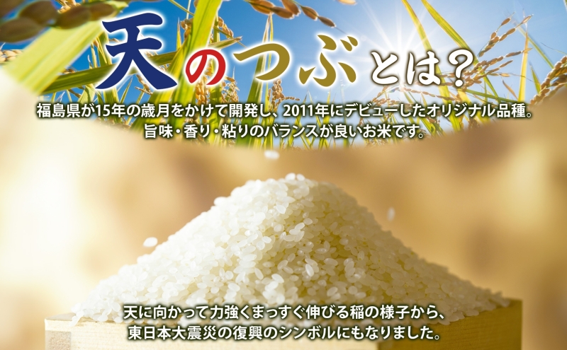 天のつぶ 10kg 5kg×2袋 令和6年産 白米 精米 米 お米 こめ コメ ふっくら 冷めてもおいしい オリジナル品種 はまちゃん米 産地直送 福島県 郡山市 令和5年 