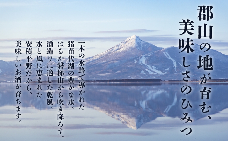  チェリーウイスキー EX 500ml 2本 ブレンデッド ウイスキー 地ウィスキー 酒 アルコール ハイボール 晩酌 特別 プレゼント お試し お取り寄せ 送料無料 常温 笹の川酒造 福島県 郡山市 
