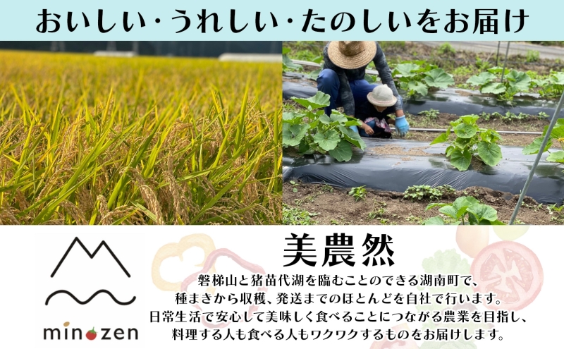 先行受付 R7年産 福島県湖南町産 ミルキークイーン 5kg×2 精米 米 コメ ごはん お米 rice 低アミロース米 白米 炊き立て おにぎり 弁当 ご飯 国産 産地直送 お取り寄せ 常備 美農然 湖南町 常温 福島県 郡山市