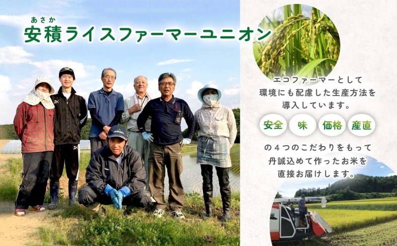 R7年産 ひとめぼれ 精米 5kg 福島県 郡山市 ヒトメボレ 米 コメ お米 ごはん ご飯 白米 おにぎり リゾット 炊き立て ブランド米 国産 産地直送 常備 お取り寄せ 安積ライスファーマーユニオン 常温 送料無料