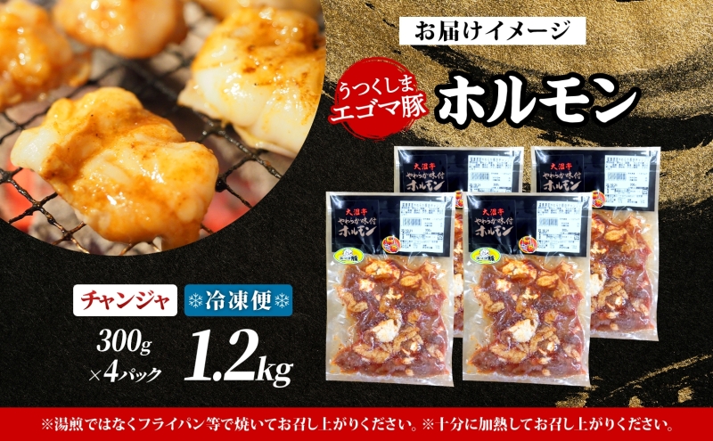 大沼亭 市場直営店 ホルモン チャンジャ 約1.2kg ホルモン焼き ピリ辛 豚ホルモン 豚ホル ぷるぷる とろける 食感 お酒のお供 おつまみ おかず ごはんのお供 冷凍 うつくしまエゴマ豚 お取り寄せグルメ 送料無料 福島県 郡山市