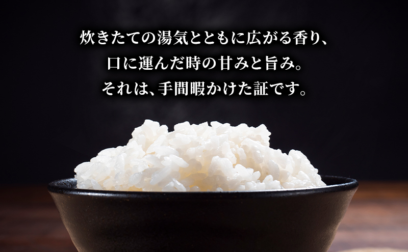幸結び コシヒカリ 10kg 米 お米 精米 白米 こめ コメ 令和7年産 令和7年 福島県 郡山市