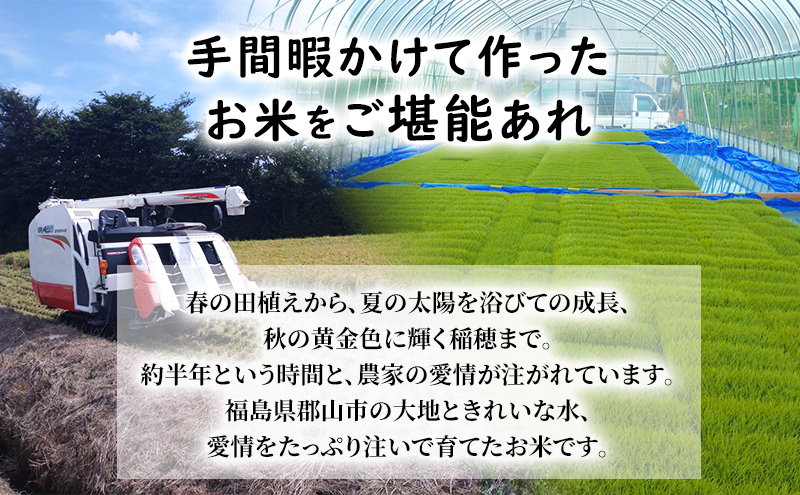 幸結び コシヒカリ 10kg 米 お米 精米 白米 こめ コメ 令和7年産 令和7年 福島県 郡山市