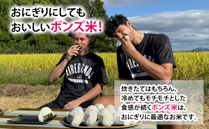 ボンズ米 ひとめぼれ 10kg 福島ファイヤーボンズ 米 お米 精米 白米 こめ コメ 令和7年産 令和7年 福島県 郡山市
