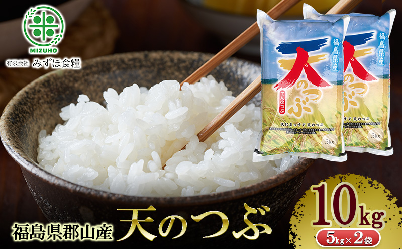 令和7年産 福島県郡山産 天のつぶ 10kg 精米 米 お米 白米 単一原料米 10キロ こめ コメ おこめ ご飯 ライス 福島県 郡山市産
