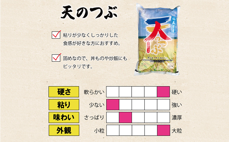 令和7年産 福島県郡山産 天のつぶ 10kg 精米 米 お米 白米 単一原料米 10キロ こめ コメ おこめ ご飯 ライス 福島県 郡山市産