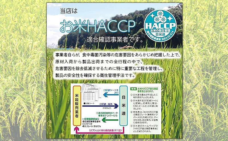 令和7年産 福島県郡山産 天のつぶ 10kg 精米 米 お米 白米 単一原料米 10キロ こめ コメ おこめ ご飯 ライス 福島県 郡山市産