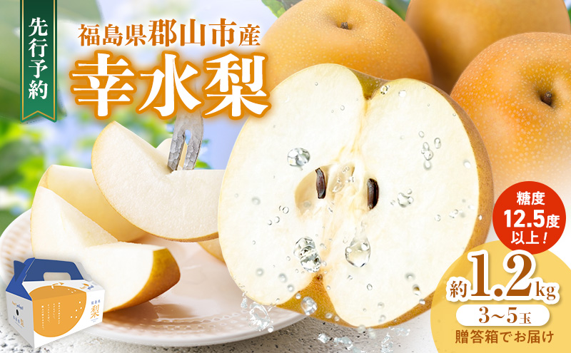 みずみずしく糖度が高い梨 福島県郡山市産 幸水 約1.2kg（3～5玉） 梨 なし ナシ 果物 くだもの フルーツ 福島県 郡山市