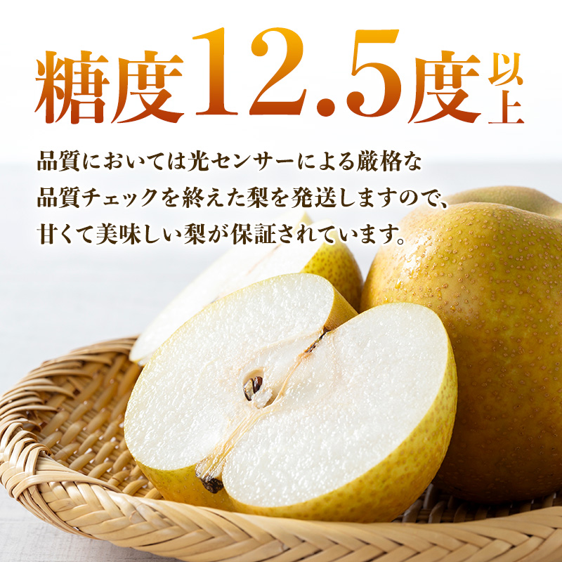 縺ソ縺壹∩縺壹@縺冗ウ門コヲ縺碁ォ倥>譴ィ 遖丞ウカ逵碁Γ螻ア蟶ら肇 蟷ク豌エ 邏1.2kgシ3ス5邇会シ 譴ィ 縺ェ縺 繝翫す 譫懃黄 縺上□繧ゅョ 繝輔Ν繝シ繝 遖丞ウカ逵 驛。螻ア蟶