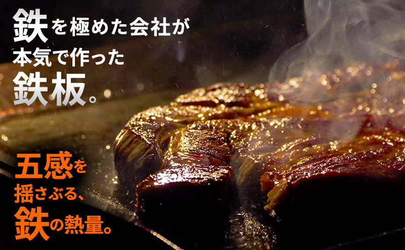 THE GRILL（ザ・グリル） キャンプ アウトドア バーベキュー 焼肉 焼き肉 鉄板焼き 鉄板料理