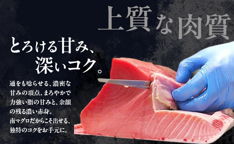 倩ç¶ããã鮪 åãèœãšã 480gïŒ80gÃ6ããã¯ïŒ å€©ç¶ ããã鮪 ããããã°ã åãã°ã åãŸãã å鮪 ãåºèº«çš èªç¶è§£åOK èªç¶è§£å å°åã 鮪 åºèº« 海鮮䞌 æå·»ã寿åž