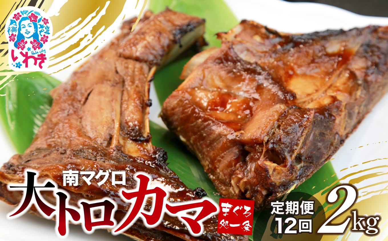 【定期便/計12回】南マグロ大トロカマ2kg（計24kg）【DG016-t12】|加熱用 選べる 回数 定期便 ｜ 冷凍 塩焼き 煮付け まぐろ 鮪 マグロ 焼き魚 高級種 希少部位