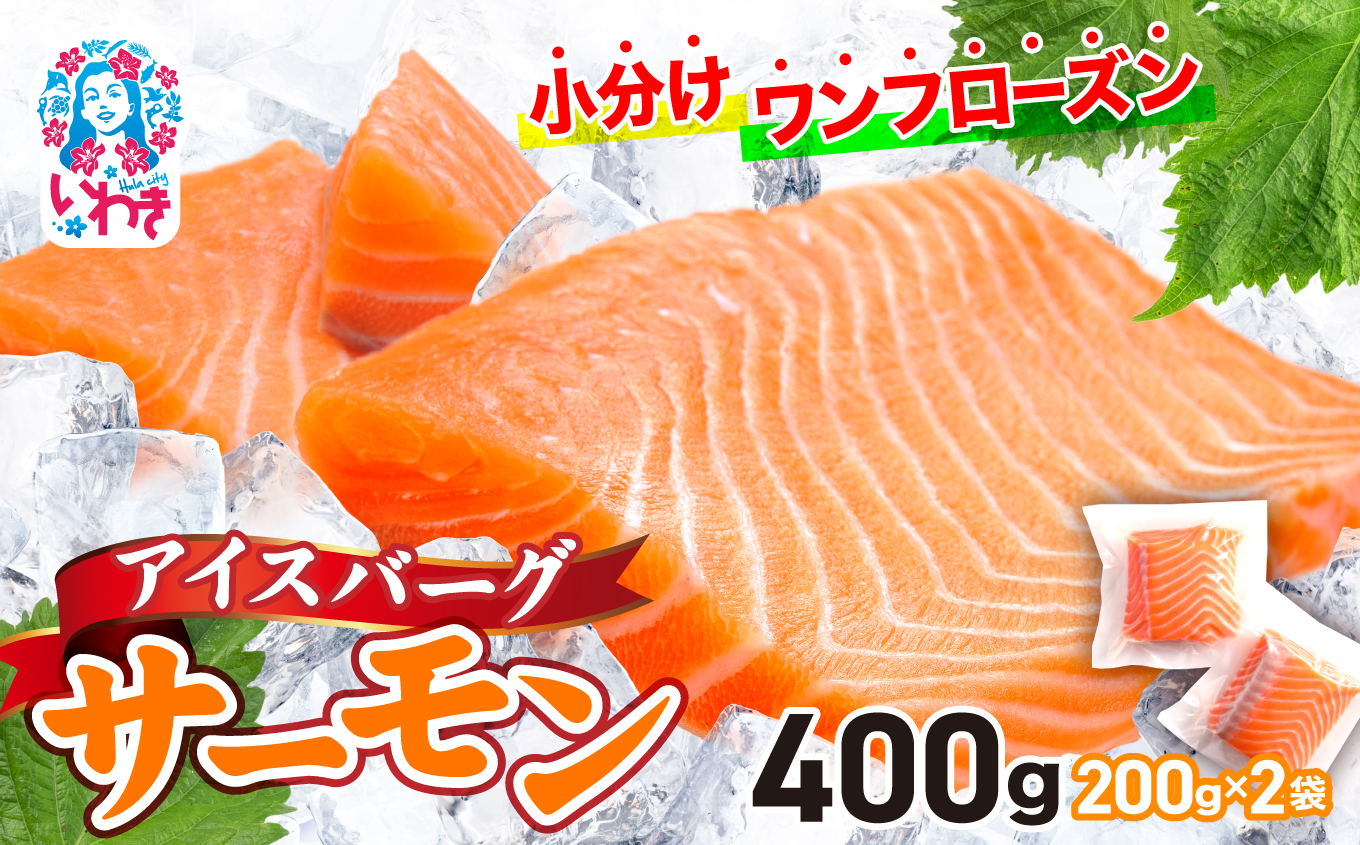 アイスバーグサーモン(アトランティックサーモン) 約400g(約200g×2袋) | サーモン ふるさと納税 サケ さけ しゃけ 刺し身 お刺身 個包装 さかな 魚介類 寿司 【DK006-400g】