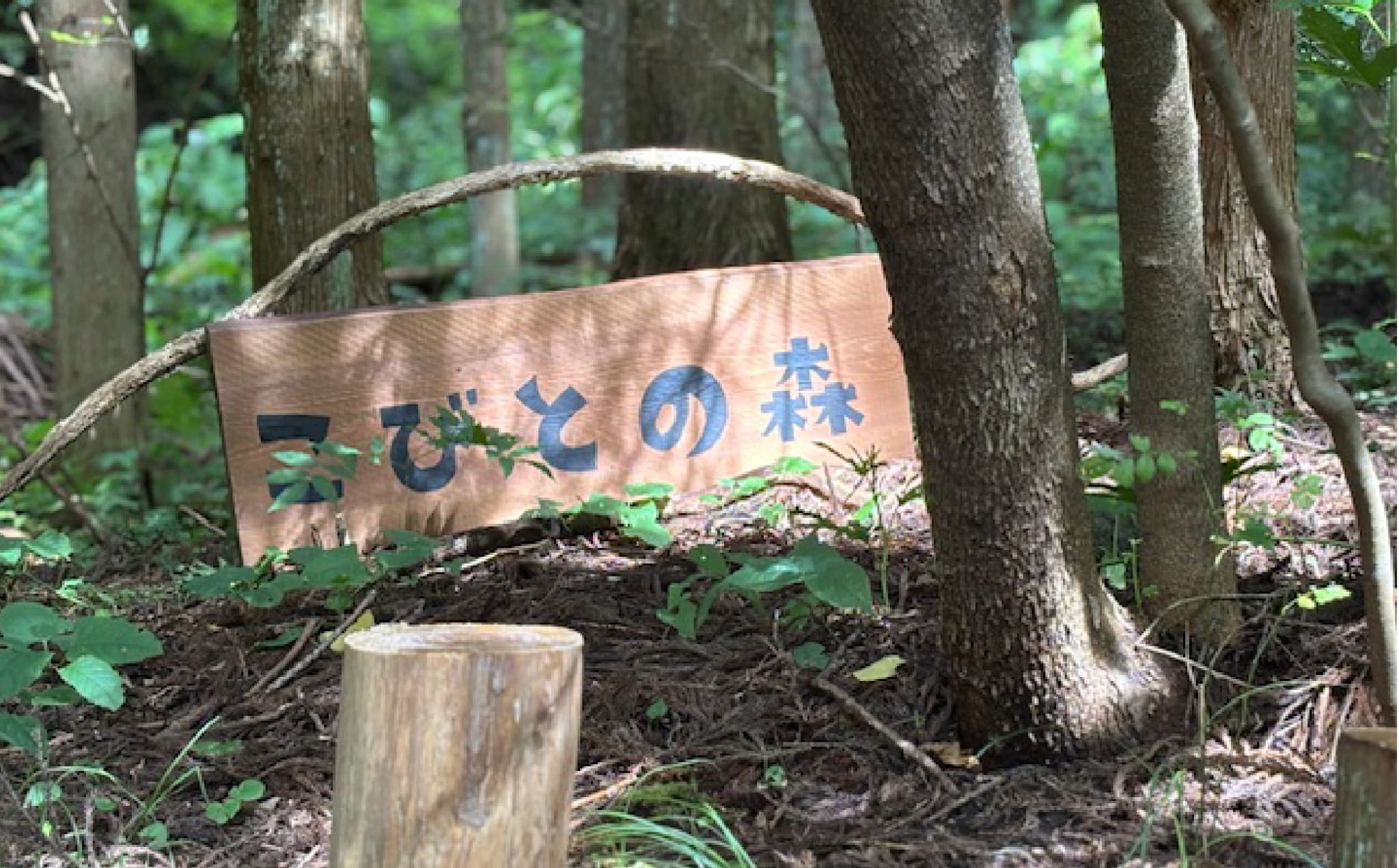 縺薙ウ縺ィ縺ョ譽ョ閾ェ辟カ謗「讀懊≠縺昴ウ縲蟆丞ュヲ逕1蜷堺ス馴ィ捺ィゥ | 閾ェ辟カ菴馴ィ 繧「繧ヲ繝医ラ繧「菴馴ィ灘梛 繝輔ぃ繝溘Μ繝シ蜷代¢ 蟄舌←繧ょ帝匱 譽ョ縺ョ謗「讀 繝輔ぃ繝ウ繧ソ繧ク繝シ菴馴ィ 繝阪う繝√Ε繝シ繧イ繝シ繝 縺薙ウ縺ィ縺ョ螳カ 遘伜ッ縺ョ螳晉ョア 遶・隧ア縺ョ荳也阜 閾ェ辟カ蟄ヲ鄙 髱樊律蟶ク菴馴ィ 荳ク螟ェ霆「縺後@ 蟆丞菴馴ィ 譽ョ縺ョ蠖ケ蜑イ 菴馴ィ薙ぐ繝輔ヨ | KM001