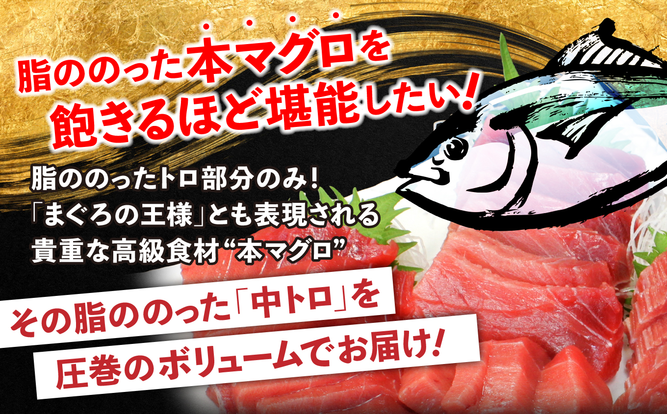 【定期便/計3回】本マグロ訳あり中トロ700g（計2.1kg）【DG008-t3】|いわき市 ふるさと納税 株式会社東日本貿易 鮪 本鮪 本まぐろ マグロ トロ とろ 刺し身 さしみ さかな 海鮮 寿司 解凍レシピ付