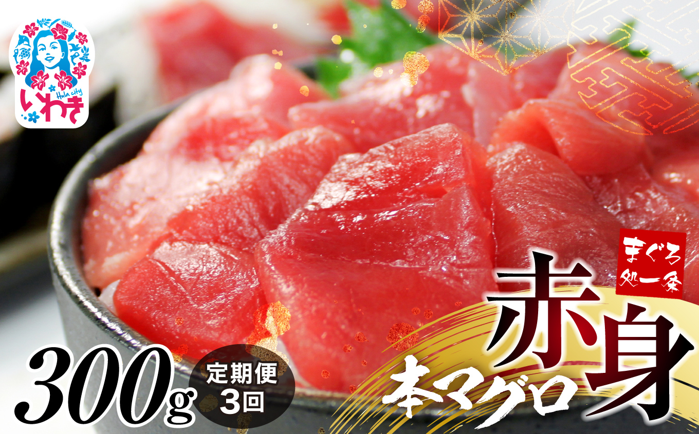 【定期便/計3回】本マグロ赤身300g（計900g）【DG009-t3】|いわき市 ふるさと納税 株式会社東日本貿易 鮪 本鮪 本まぐろ マグロ 刺し身 さしみ さかな 海鮮 寿司 解凍レシピ付