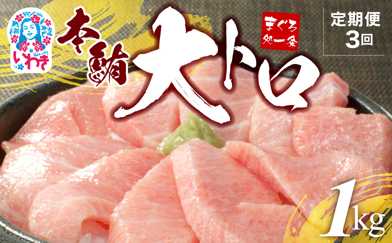 【定期便/計3回】本マグロ大トロずっしり1kg（計3kg）【DG004-t3】|いわき市 ふるさと納税 株式会社東日本貿易 鮪 本鮪 本まぐろ マグロ 大トロ 大とろ トロ とろ 刺し身 さしみ さかな 海鮮 寿司 解凍レシピ付