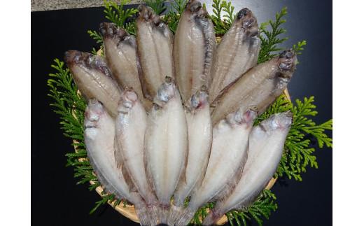 ヤナギガレイ一夜干し　12枚